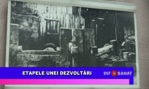 Etapele unei dezvoltări