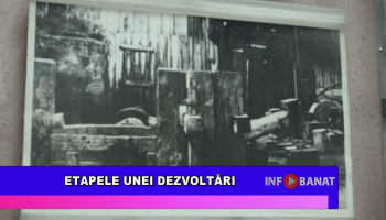 Etapele unei dezvoltări