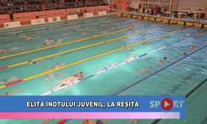 Elita înotului juvenil, la Reșița
