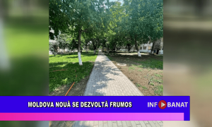 Moldova Nouă se dezvoltă frumos