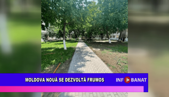 Moldova Nouă se dezvoltă frumos