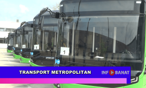 Transport metropolitan