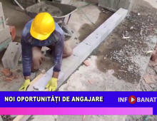 Noi oportunități de angajare