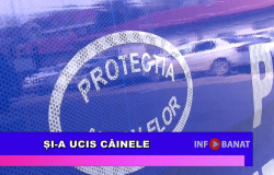 Și-a ucis câinele