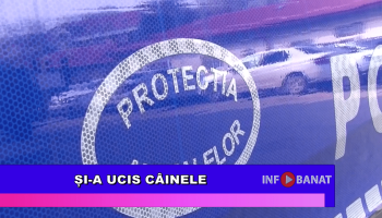 Și-a ucis câinele