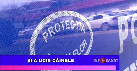 Și-a ucis câinele