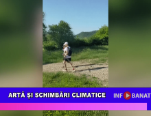 Artă și schimbări climatice