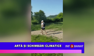 Artă și schimbări climatice
