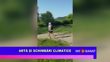 Artă și schimbări climatice