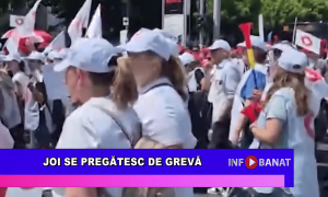 Joi se pregătesc de grevă