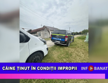 Câine ținut în condiții improprii