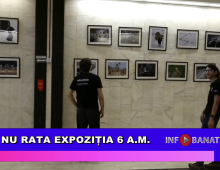 Nu rata expoziția 6 A.M.