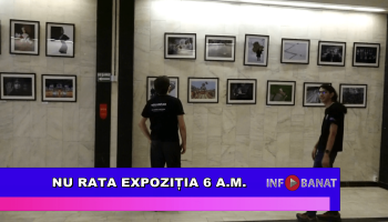 Nu rata expoziția 6 A.M.