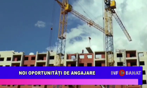 Noi oportunități de angajare