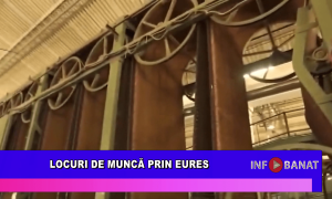 Locuri de muncă prin EURES