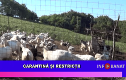 Carantină și restricții