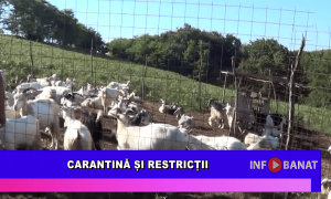 Carantină și restricții
