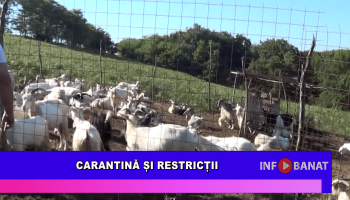 Carantină și restricții