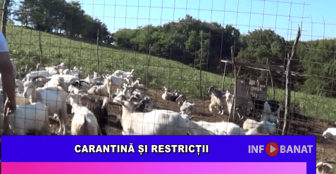 Carantină și restricții