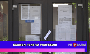 Examen pentru profesori