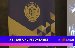 A fi sau a nu fi contabil?