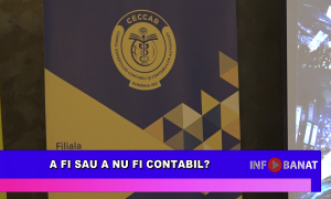 A fi sau a nu fi contabil?