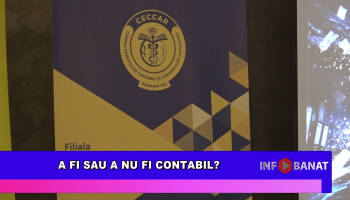 A fi sau a nu fi contabil?