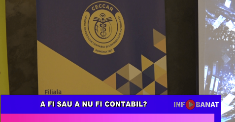 A fi sau a nu fi contabil?
