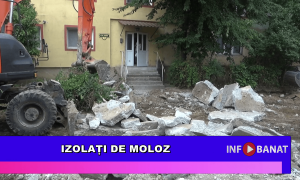Izolați de moloz