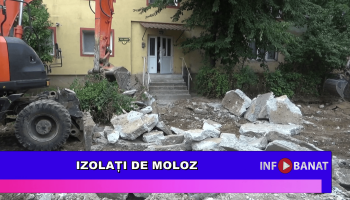 Izolați de moloz