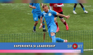 Experiență și leadership