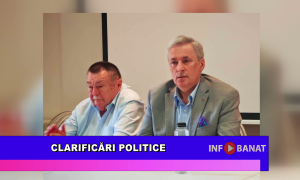Clarificări politice