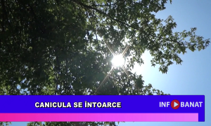 Canicula se întoarce