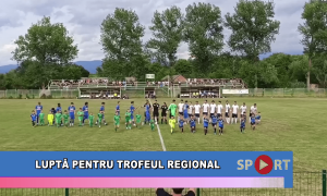 Luptă pentru trofeul regional