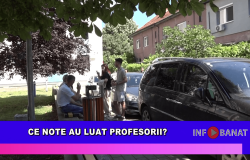 Ce note au luat profesorii?