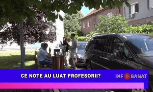 Ce note au luat profesorii?