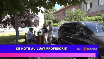 Ce note au luat profesorii?