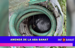 Amendă de la ABA Banat
