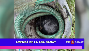 Amendă de la ABA Banat