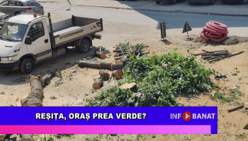 Reșița, oraș prea verde?