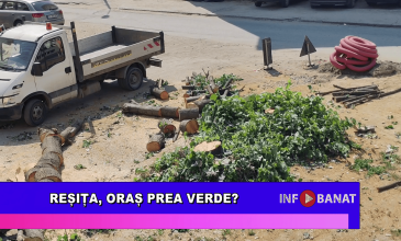 Reșița, oraș prea verde?