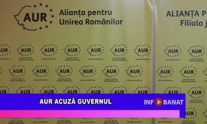 AUR acuza Guvernul
