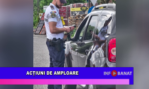 Acțiuni de amploare