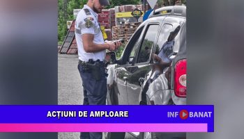 Acțiuni de amploare
