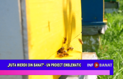 „Ruta mierii din Banat” –  un proiect emblematic