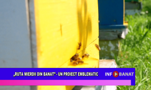 „Ruta mierii din Banat” –  un proiect emblematic