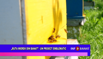 „Ruta mierii din Banat” –  un proiect emblematic