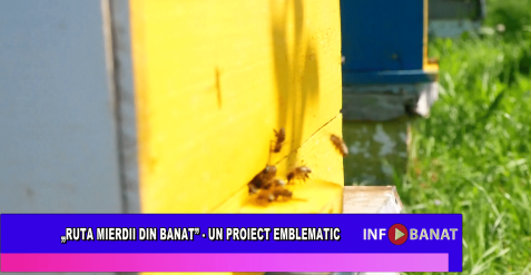 „Ruta mierii din Banat” –  un proiect emblematic