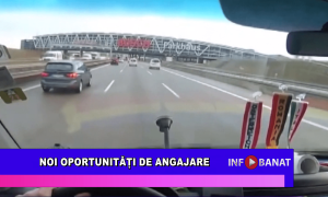 Noi oportunități de angajare