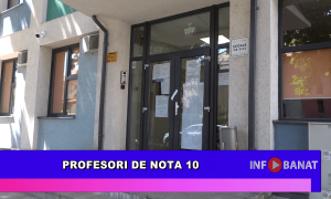 Profesori de nota 10